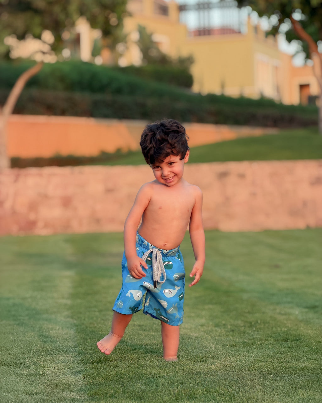 WHALE SWIM SHORTS
