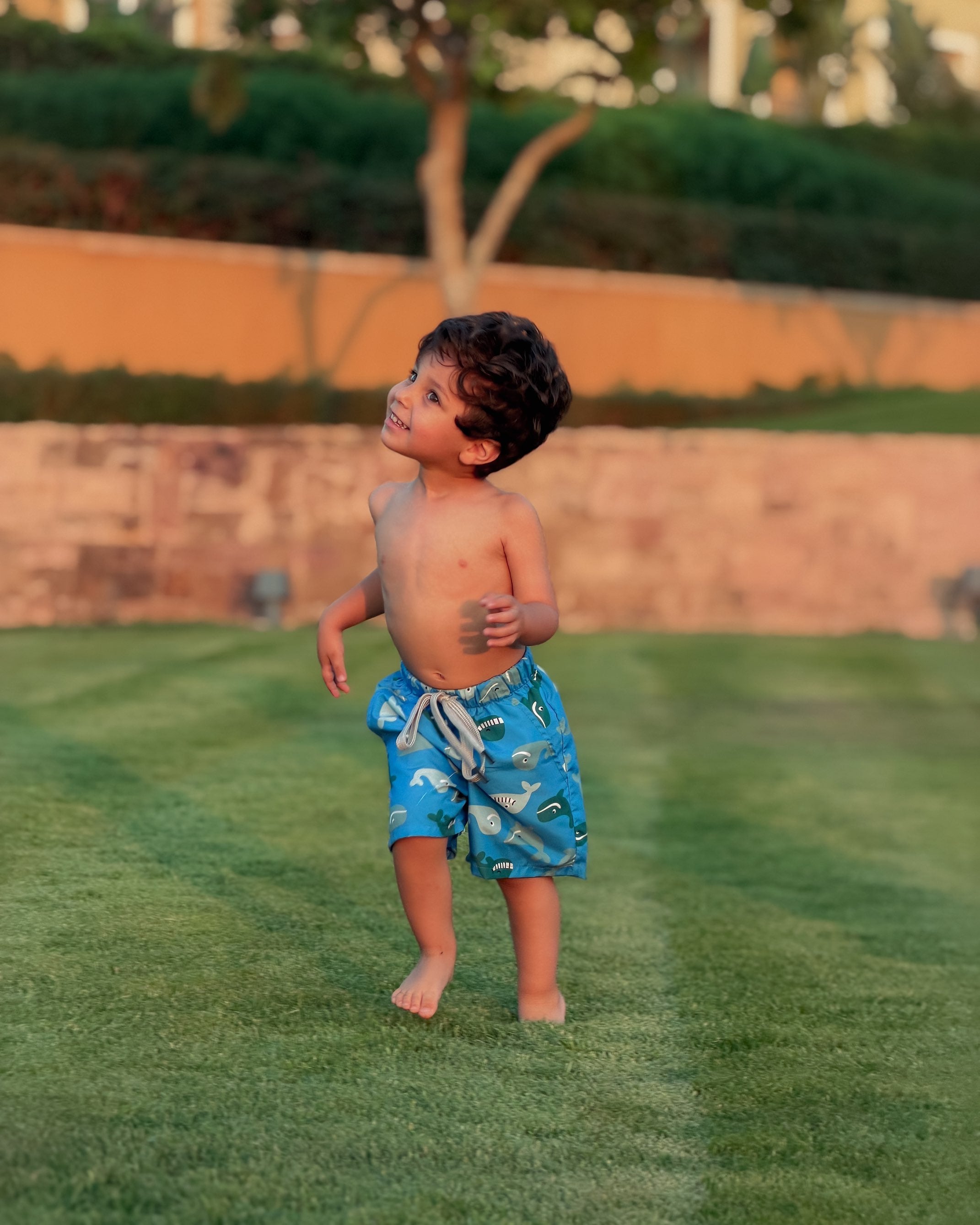 WHALE SWIM SHORTS Main image